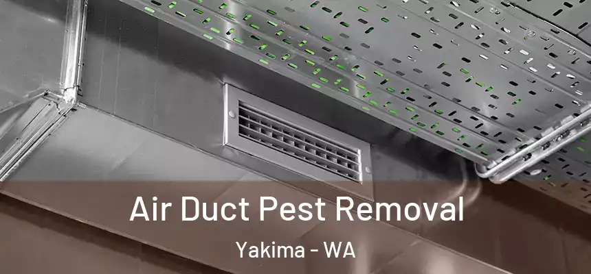 Air Duct Pest Removal Yakima - WA