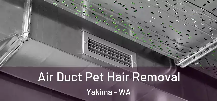 Air Duct Pet Hair Removal Yakima - WA