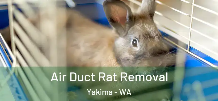 Air Duct Rat Removal Yakima - WA