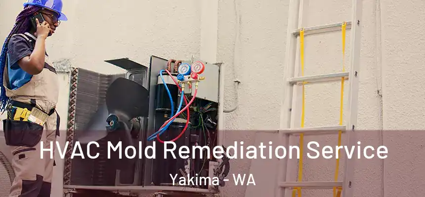HVAC Mold Remediation Service Yakima - WA