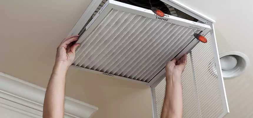 Preventive Cockroach-Proofing for Ducts in Yakima