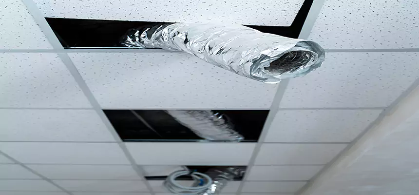 Our Air Duct Pet Hair Removal Services in Yakima, WA