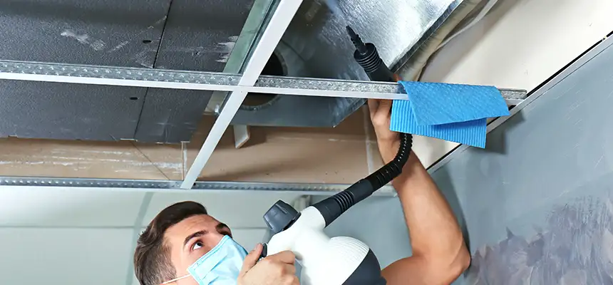 Our Air Duct Rodent Removal Services in Yakima, WA