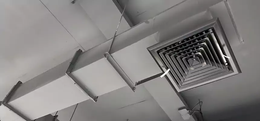 Our Rodent Droppings In Vents Services in Yakima, WA