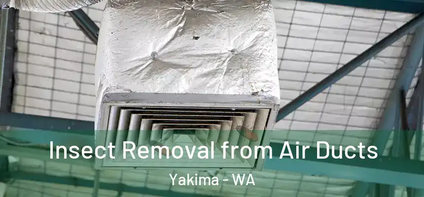 Insect Removal from Air Ducts Yakima - WA