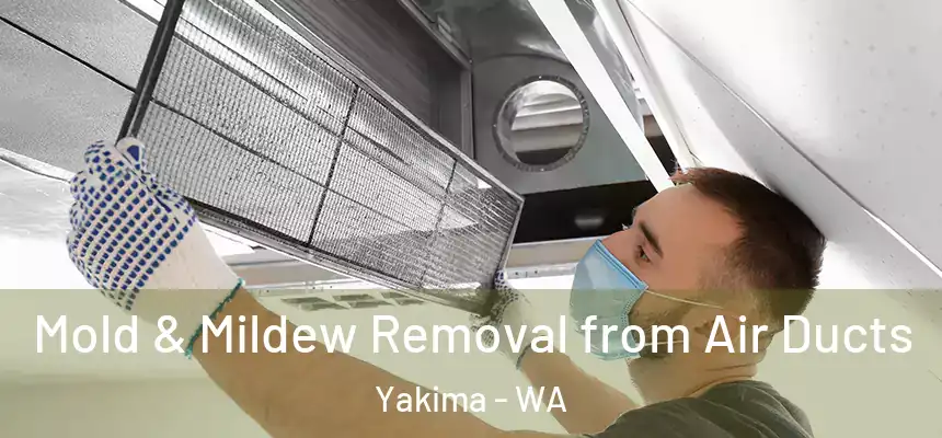 Mold & Mildew Removal from Air Ducts Yakima - WA