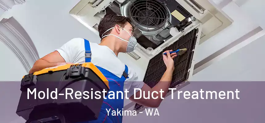 Mold-Resistant Duct Treatment Yakima - WA