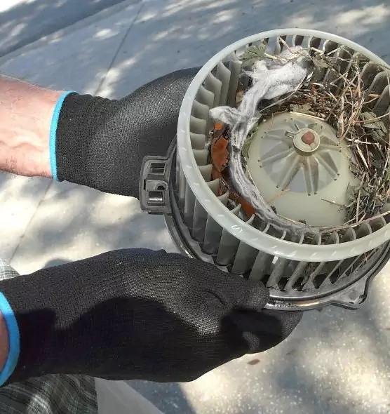 About Air Duct Rat Removal in Yakima, WA