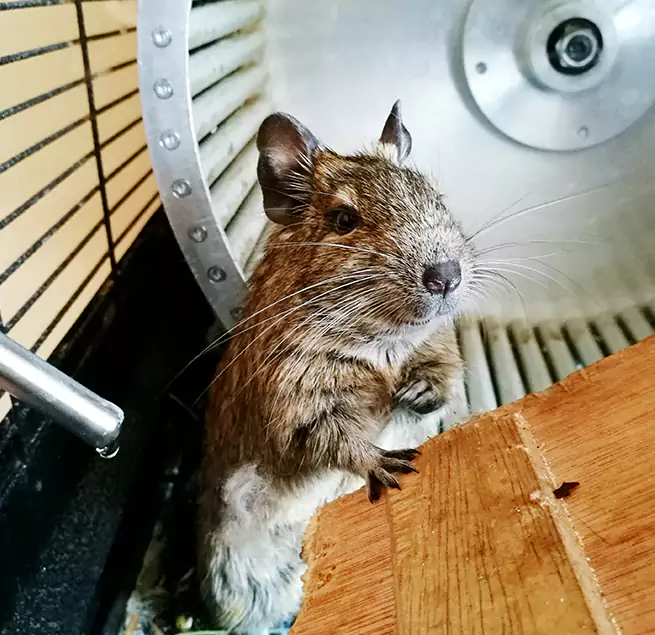 Why Homeowners & Businesses Trust Us Yakima, WA